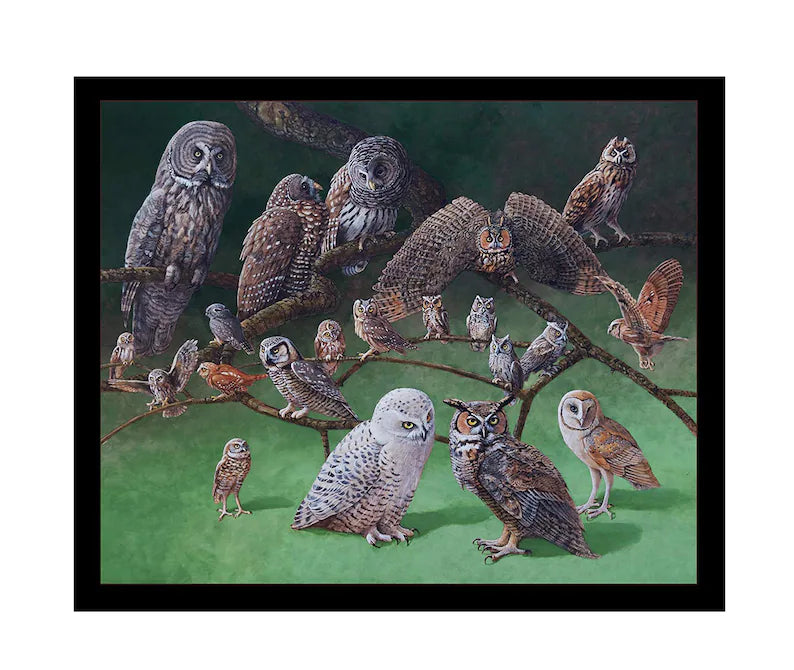 Realistic Owls Panel